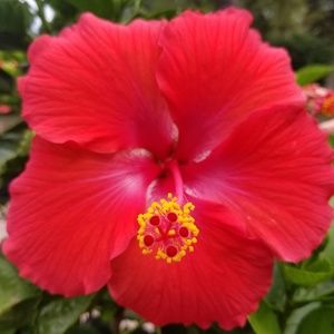 Meet your Posher, Leonarda